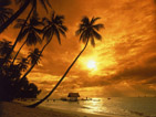 Summer wallpapers38